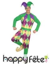 Costume d'arlequin violet vert pour homme