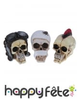 Crâne décoratif aléatoire de 14cm