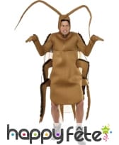 Costume de cafard marron