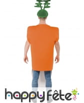 Costume de carotte, image 1