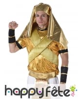 Costume doré de pharaon pour adulte, image 1