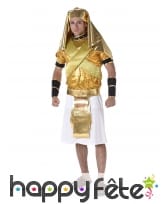 Costume doré de pharaon pour adulte
