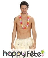 Collier de fleurs multicolores hawaiennes