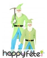 Costume de nain vert et bleu pour homme