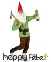 Costume de nain vert pour homme
