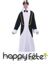 Costume de Pingouin