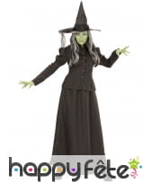 Costume de sorcière maléfique noir pour adulte, image 1