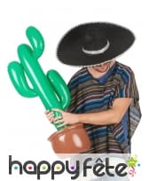 Cactus gonflable, image 2