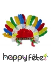 Coiffe indien plume courte colorées