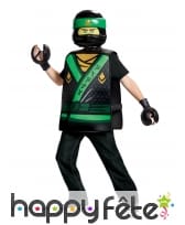 Costume Lego de Lloyd Ninjago pour enfant