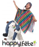 Carry me à dos de lama, image 1