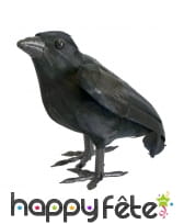 Corbeau noir à plumes, décoratif