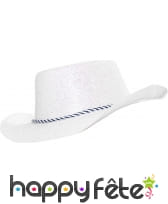 Chapeau plastique de cowboy paillette irise