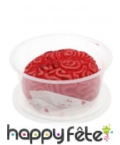 Cerveau rempli de sang dans une bo&icirc;te