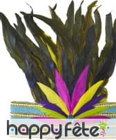 Couronne rio de janeiro à plumes, image 2