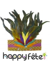 Couronne rio de janeiro à plumes, image 3