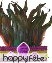 Couronne rio de janeiro à plumes, image 4