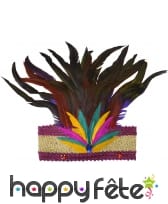 Couronne rio de janeiro à plumes, image 1