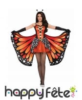 Costume robe papillon pour femme