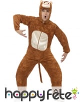 Costume singe, image 1