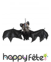 Chauve-souris animée lumière et son, 80 cm