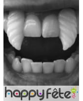 Crocs Spiral Deluxe, image 1