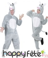 Deguisement ane Bouriquet adulte