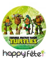 Disque azyme Tortues Ninja, 20 cm, image 1