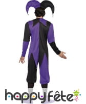 Déguisement bouffon médiéval, image 2