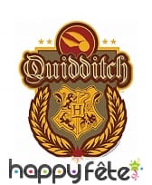 Décoration blason Quidditch, Harry Potter