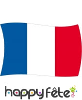 Drapeau Centrafrique (50x75), image 1