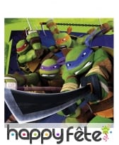 Décorations d'anniversaire Tortue Ninja, image 10