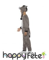 Déguisement de Bourriquet pour enfant, image 1