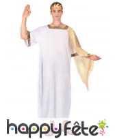 Déguisement de césar pour homme adulte, image 1