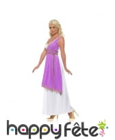 Déguisement de déesse grecque avec toge, image 1