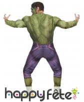 Déguisement de Hulk 2 pour homme, luxe, image 2