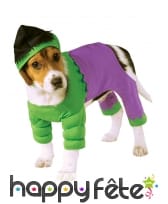 Déguisement de Hulk pour chien