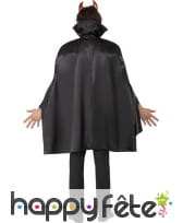 Déguisement diable lord home, image 1