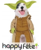 Déguisement de Maître Yoda pour chien