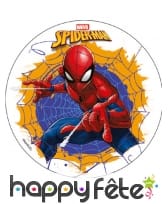 Disque de Spiderman en amidon de 18,5 cm