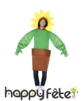 Déguisement de Tournesol, image 1
