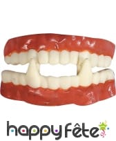Dentier de vampire en caoutchouc, professionnel
