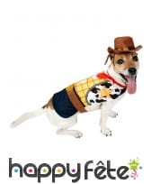 Déguisement de Woody pour chien, Toy Story