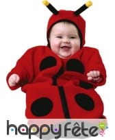 D&eacute;guisement gigoteuse de coccinelle