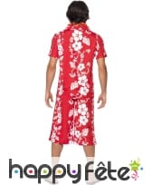 Déguisement hawaien, image 2