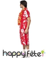 Déguisement hawaien, image 1