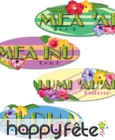 Décorations Hawaï de zone