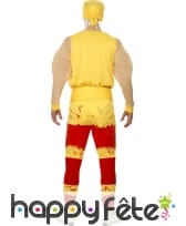 Déguisement hulk hogan, image 1