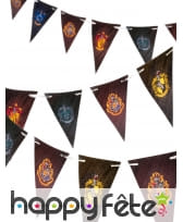 Décoration Harry Potter d'anniversaire, FSC, image 12
