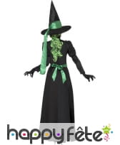 Déguisement méchante sorcière, image 2
